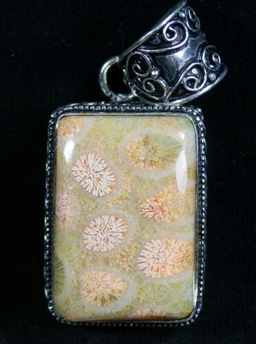Fossil Coral Sunburst Pendant #8287